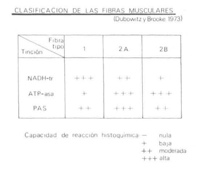 Fig. 12a